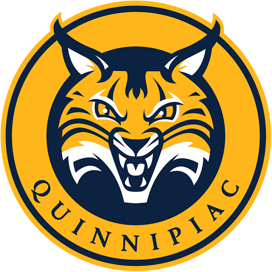 Quinnipiac Bobcats 2019-Pres Primary Logo diy DTF decal sticker